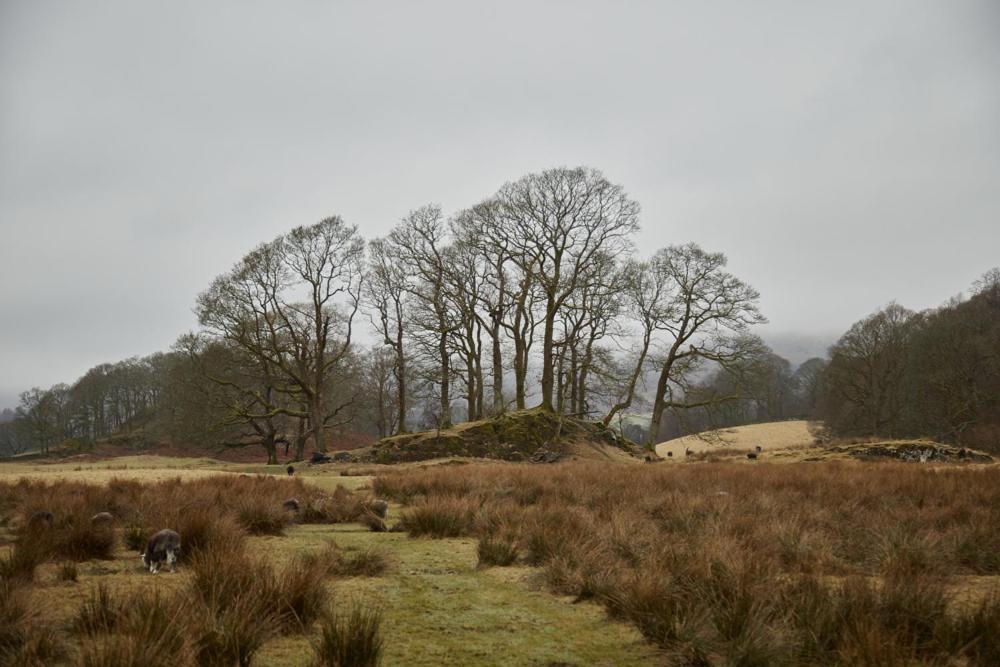 Little Nut Cottage Ambleside Buitenkant foto