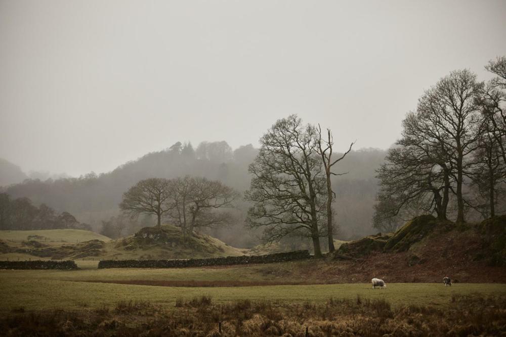 Little Nut Cottage Ambleside Buitenkant foto
